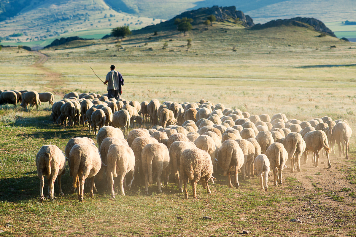 Lancement de l'Initiative Homme - Faune sauvage en Espagne