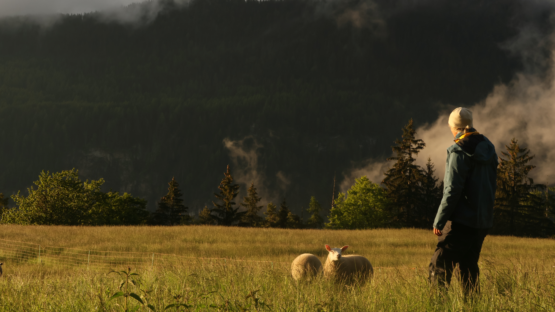 The Transalps in search of the Dahu