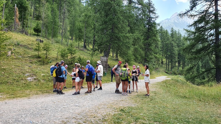 PAROLE DE PATOU, awareness programme on the presence of guard dogs in the mountains